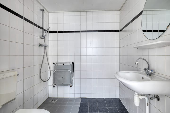 Photo 18 of Stinzenflora 60