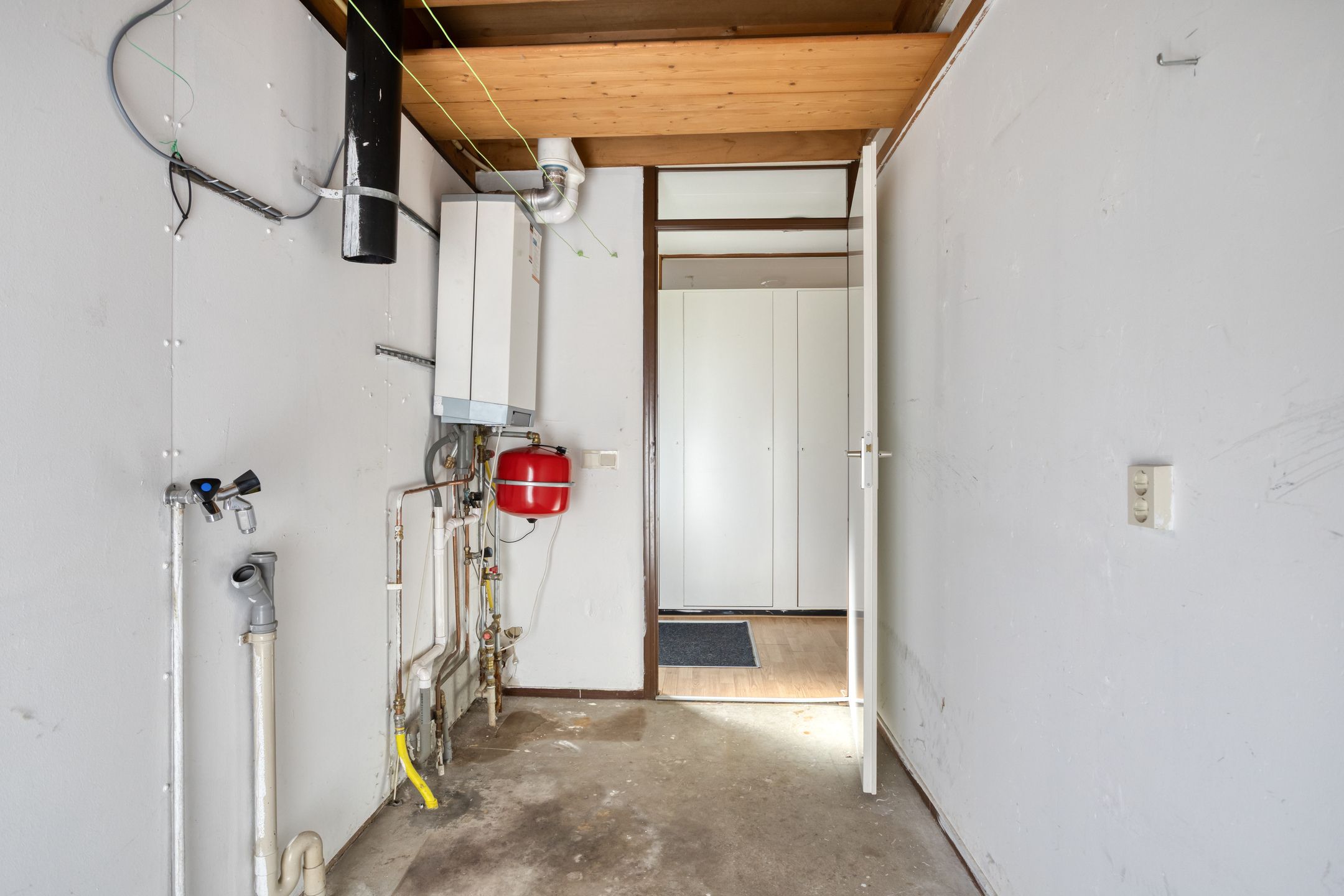 Foto 21 van Stinzenflora 60