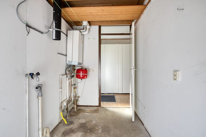 Photo 21 of Stinzenflora 60