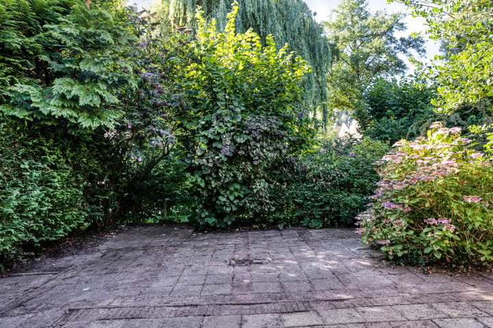 Photo 22 of Stinzenflora 60