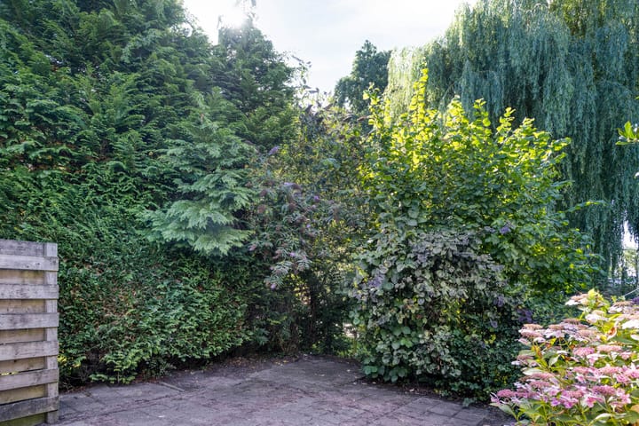 Photo 23 of Stinzenflora 60