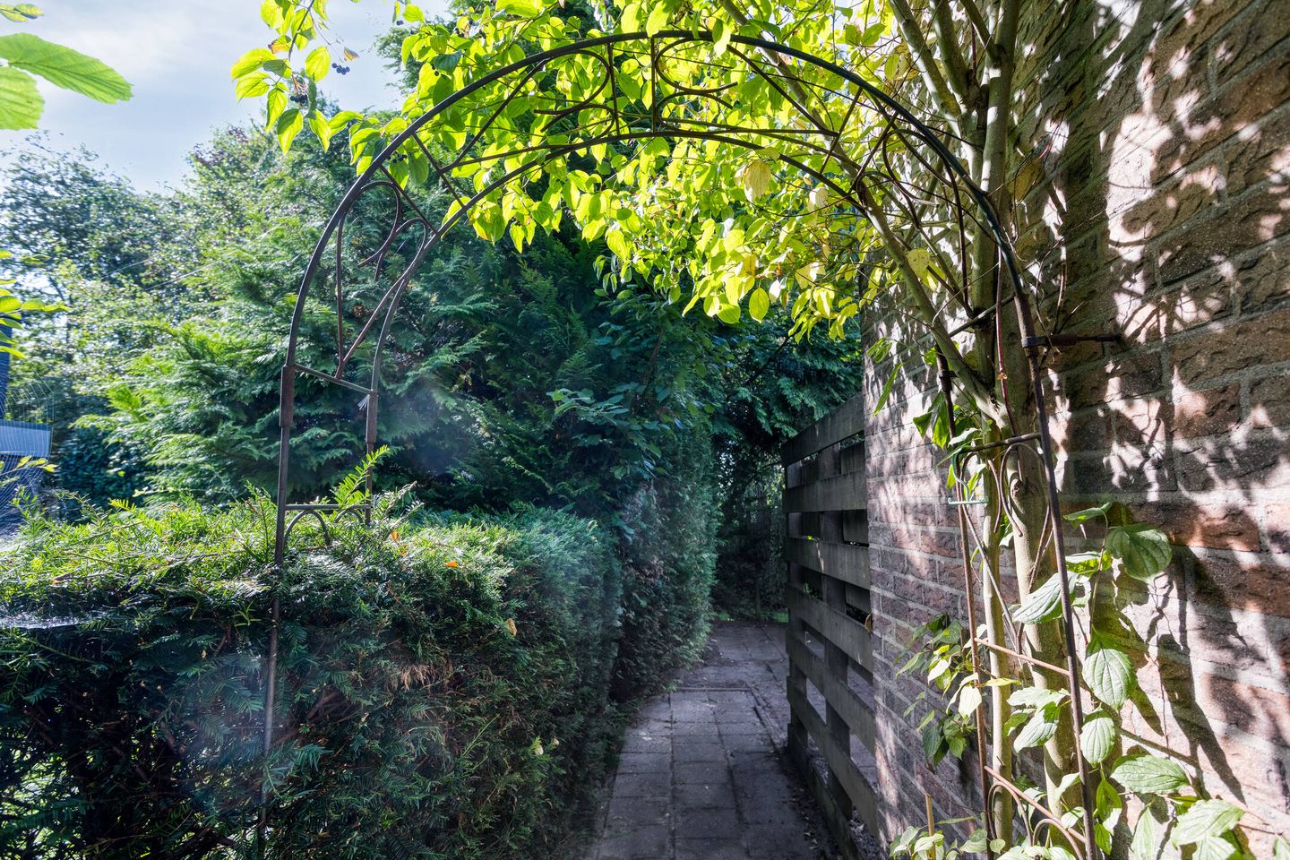 Foto 25 van Stinzenflora 60