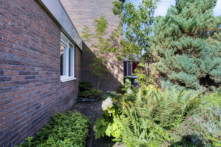 Photo 26 of Stinzenflora 60