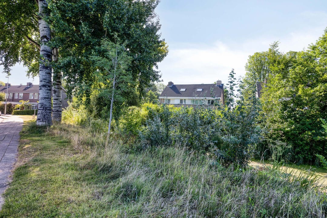 Foto 28 van Stinzenflora 60