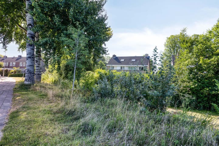 Photo 28 of Stinzenflora 60