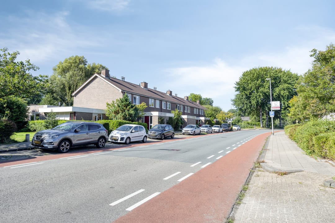 Foto 31 van Stinzenflora 60