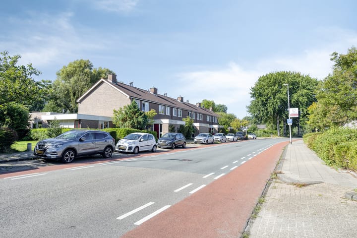 Photo 31 of Stinzenflora 60