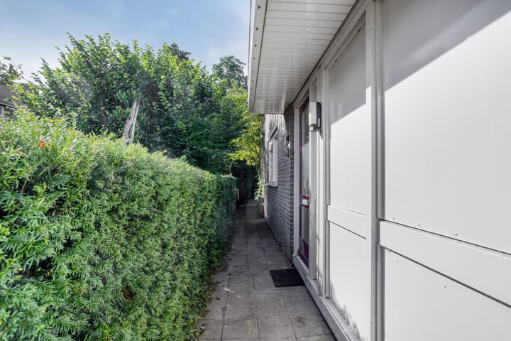 Photo 32 of Stinzenflora 60