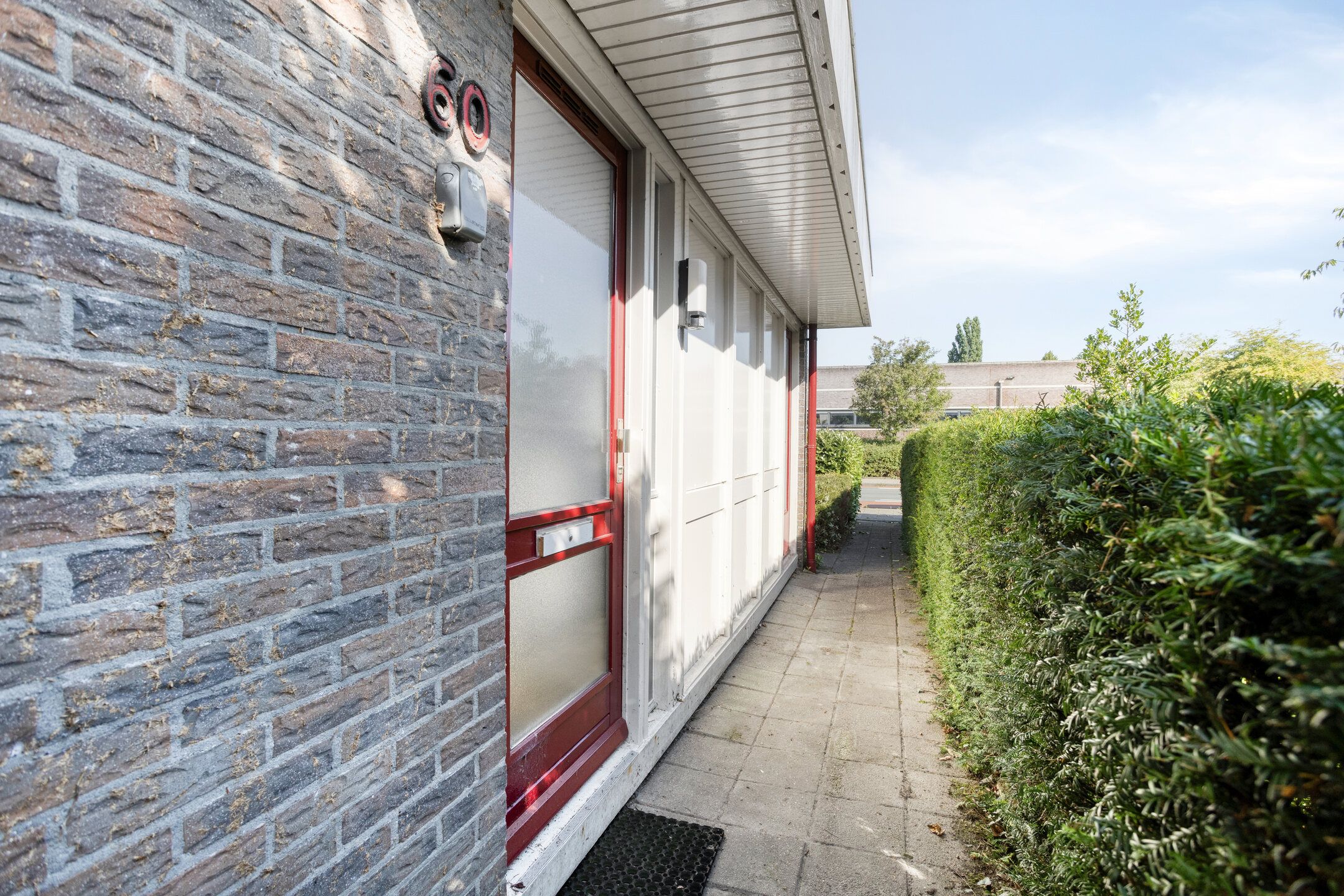 Foto 33 van Stinzenflora 60