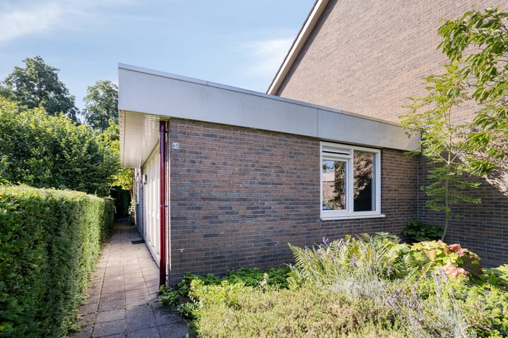 Photo 34 of Stinzenflora 60