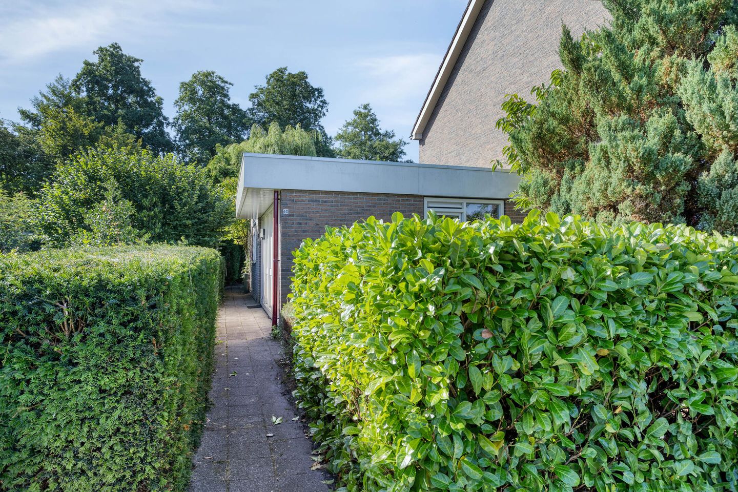 Foto 35 van Stinzenflora 60