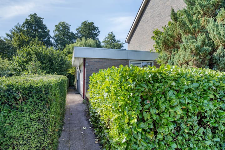 Photo 35 of Stinzenflora 60