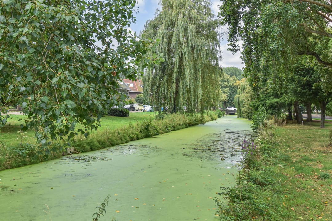 Foto 23 van Montessoristraat 4