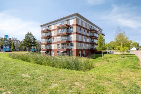 undefined main image