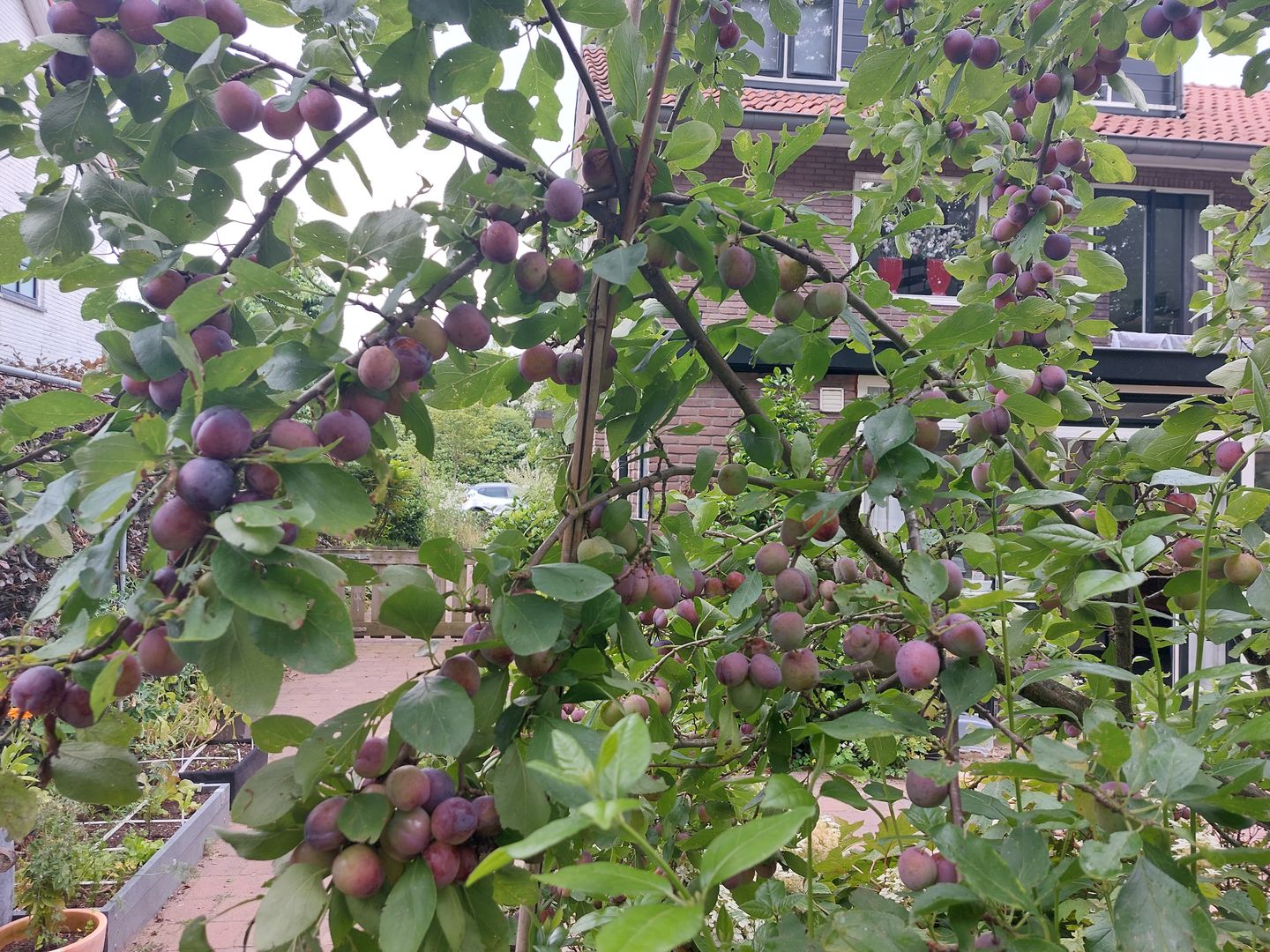 Photo 35 of Tolakkerweg 70