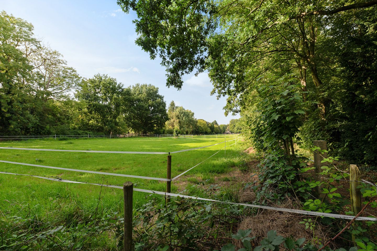 Photo 40 of Tolakkerweg 70