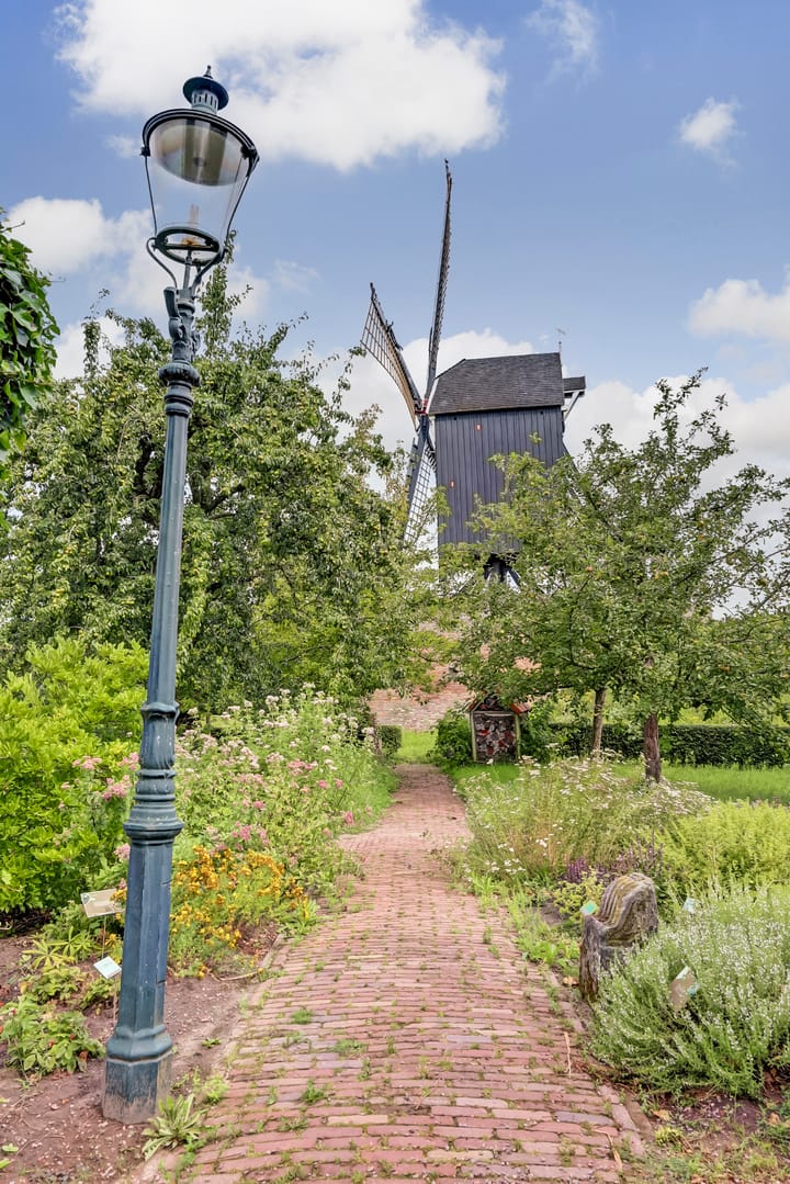 Photo 21 of Waterpoort 20