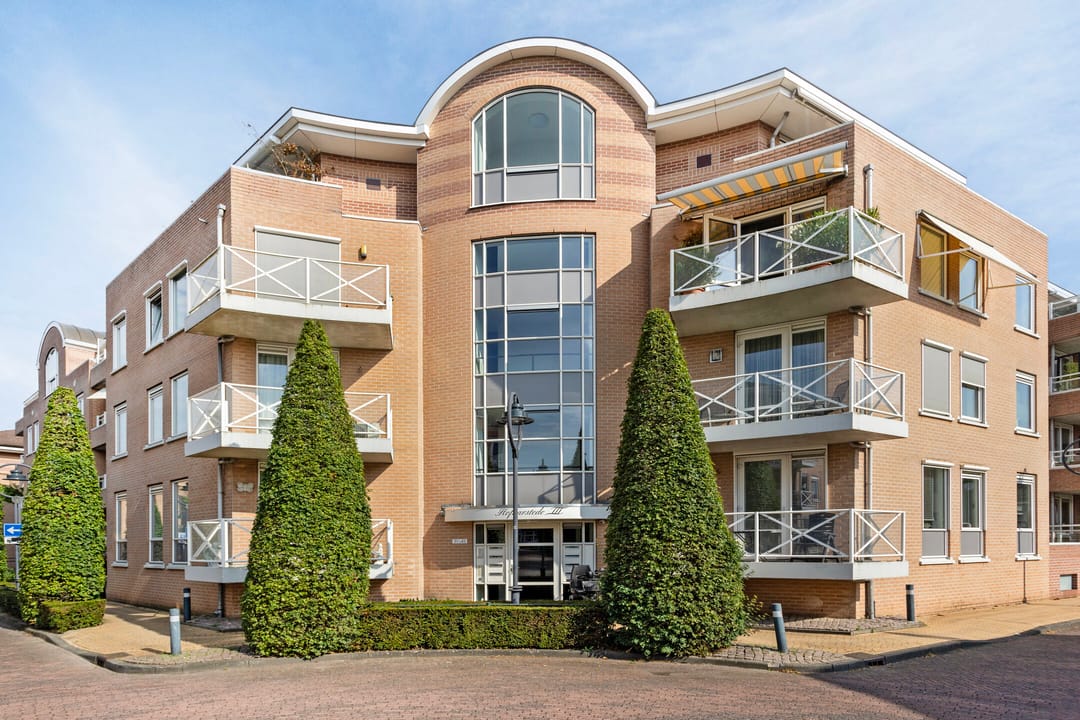 Foto 1 van de Hofnar 37