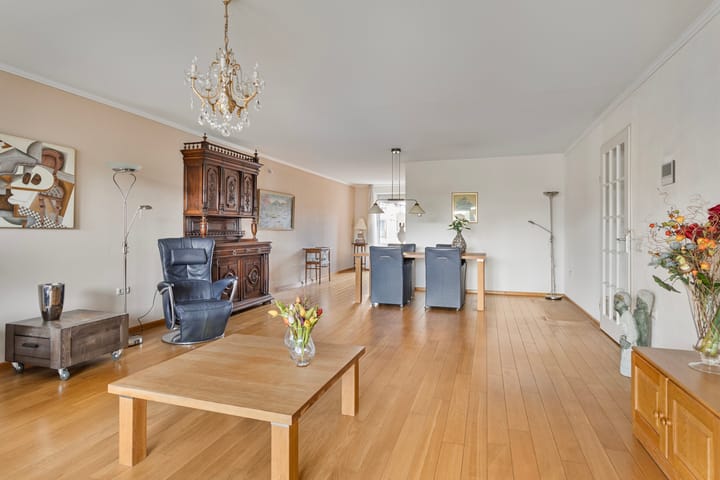 Foto 5 van de Hofnar 37