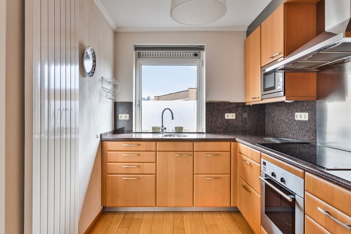 Foto 9 van de Hofnar 37