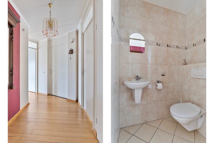 Foto 20 van de Hofnar 37