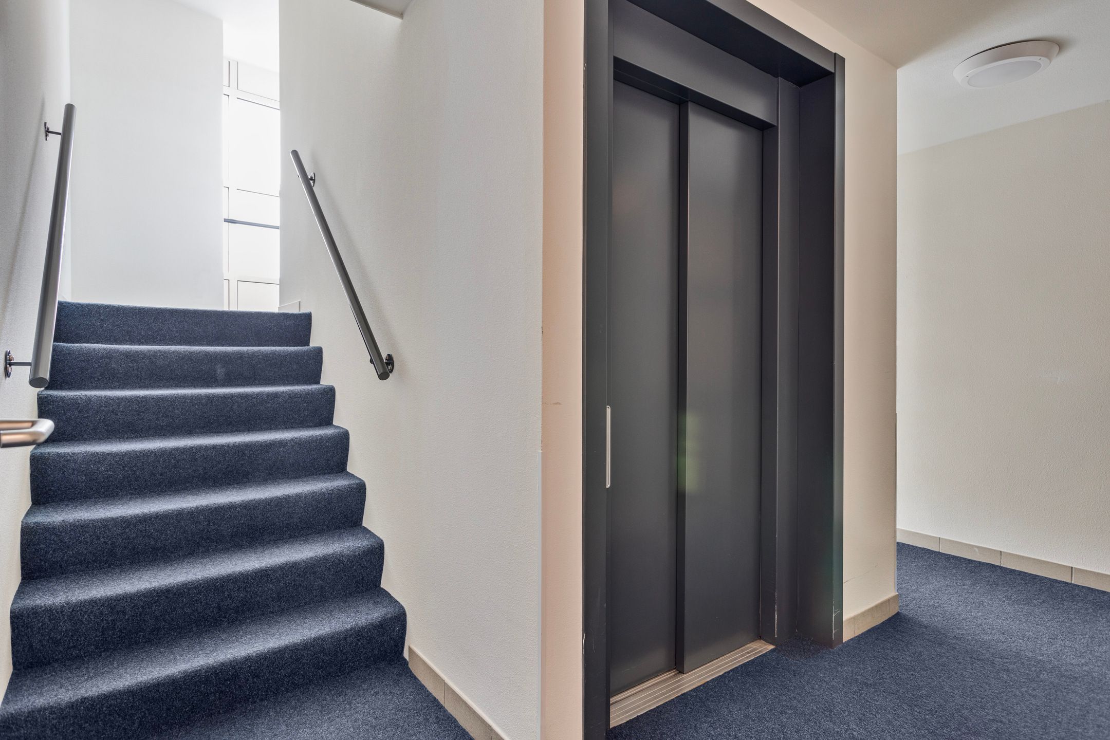 Foto 27 van de Hofnar 37