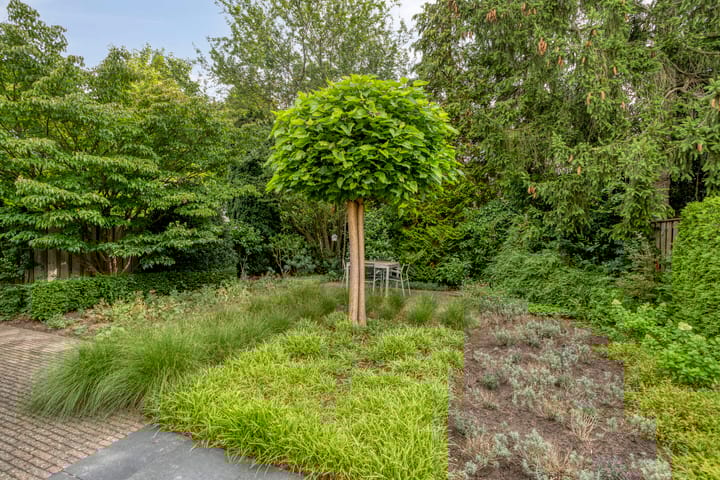 Photo 31 of Gaspeldoornlaan 22