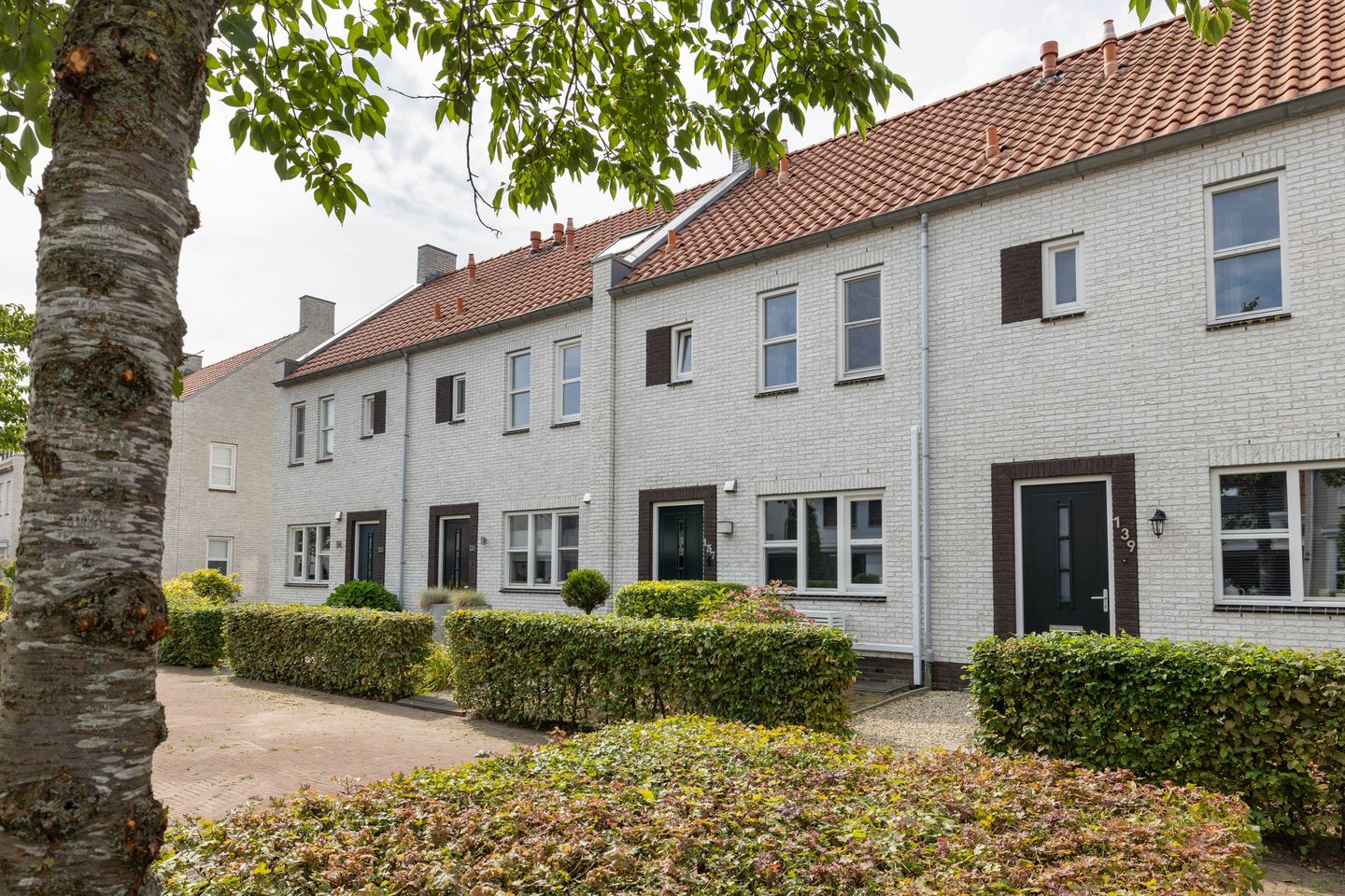 Foto 25 van Lover 137