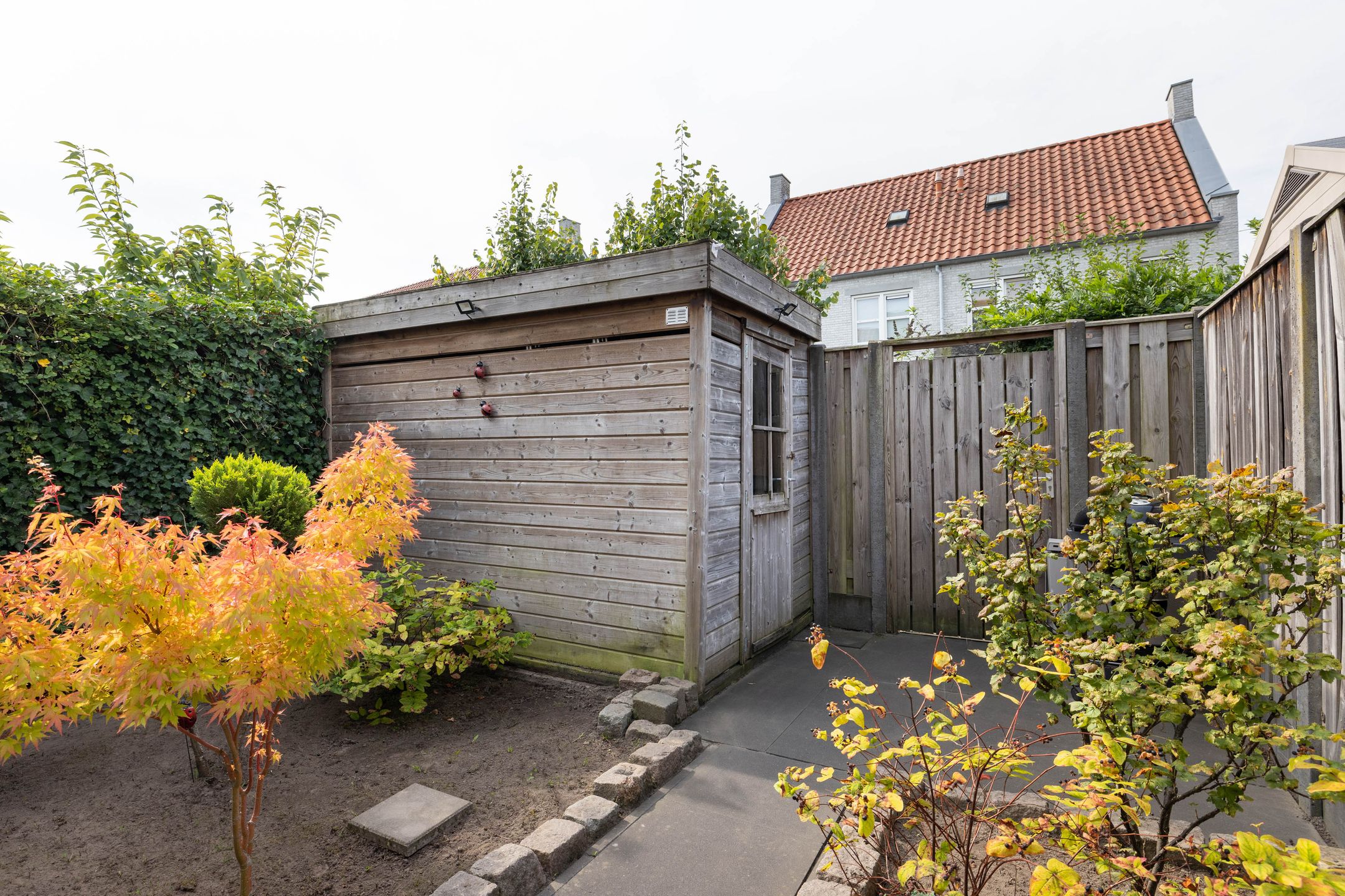 Foto 21 van Lover 137