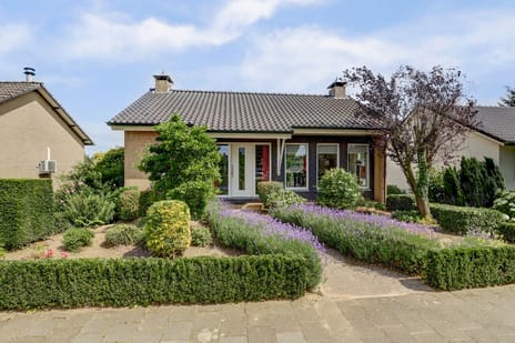 undefined main image