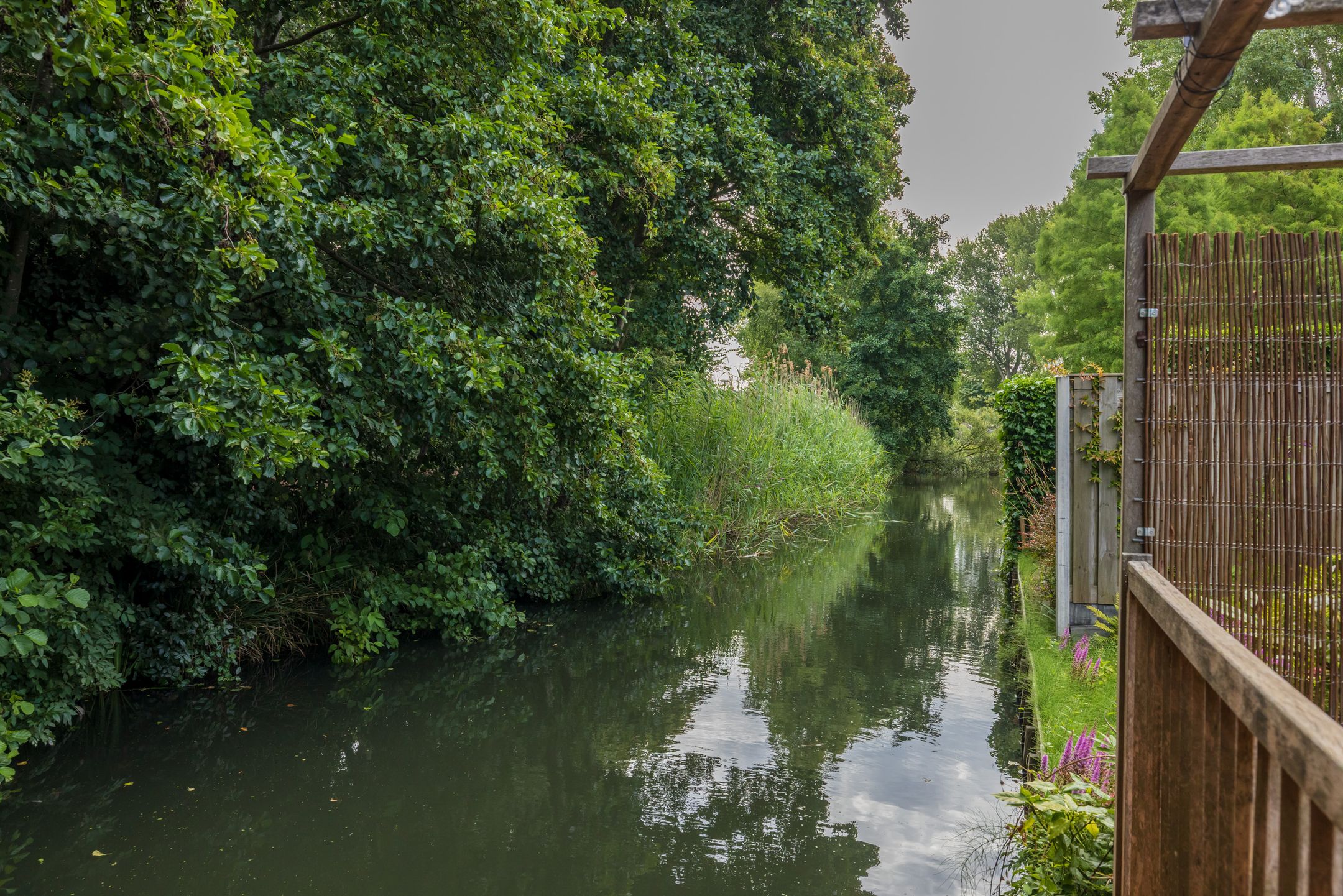 Foto 18 van Jacob Catsstraat 13