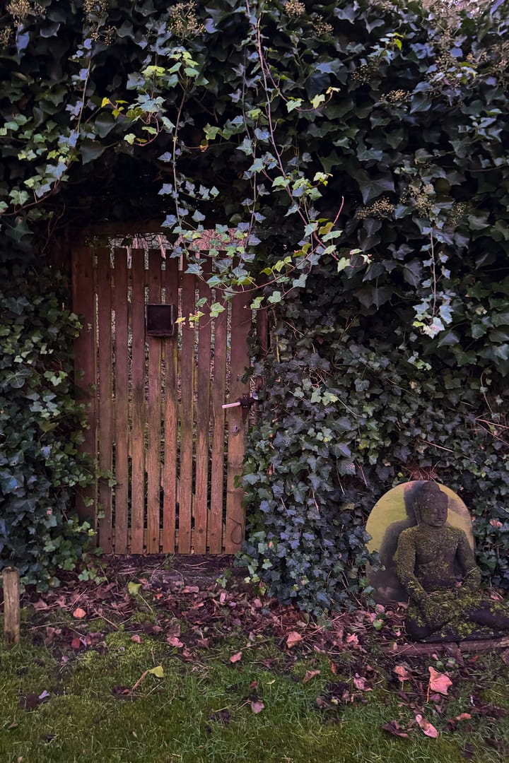 Foto 30 van Julianaweg 59