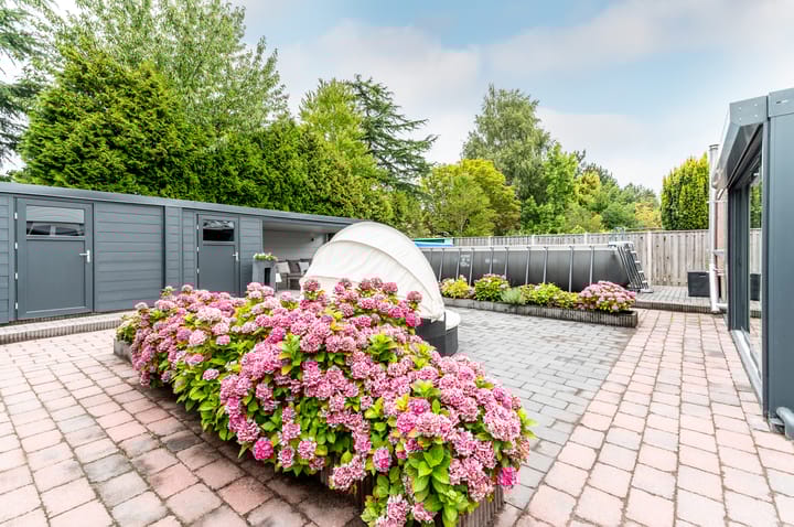 Foto 50 van Nijenrode 11