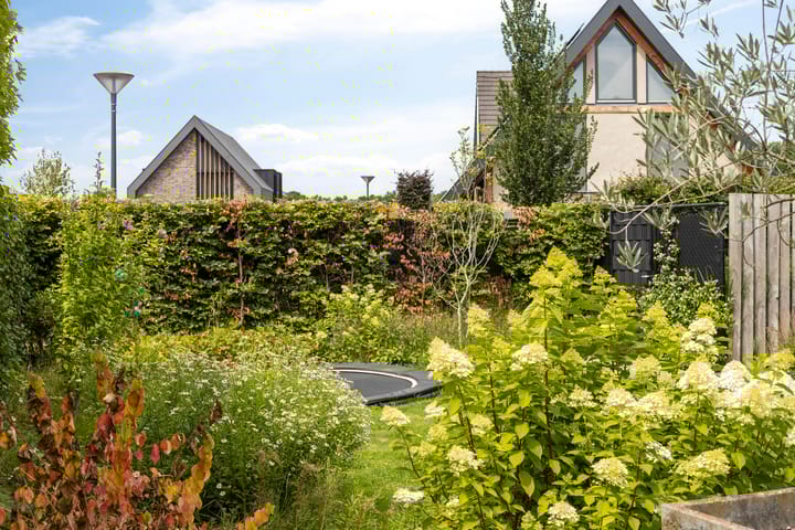 Photo 47 of Eikenpage 9