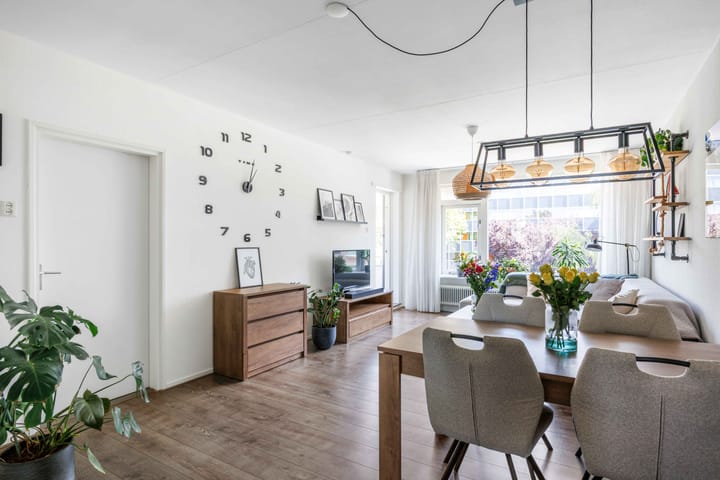 Foto 16 van Plutolaan 60