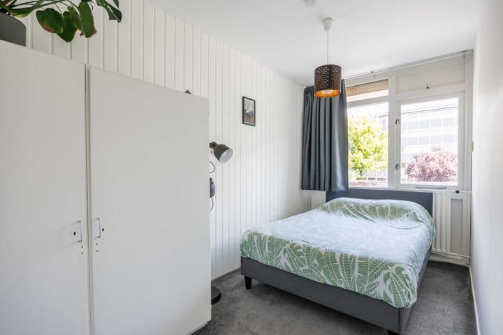 Foto 30 van Plutolaan 60