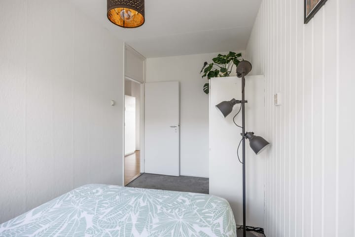 Foto 31 van Plutolaan 60