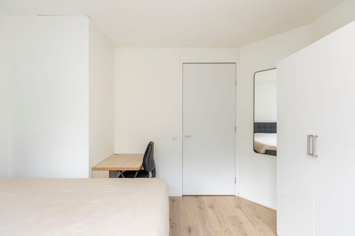 Foto 17 van Poolsestraat 31-B