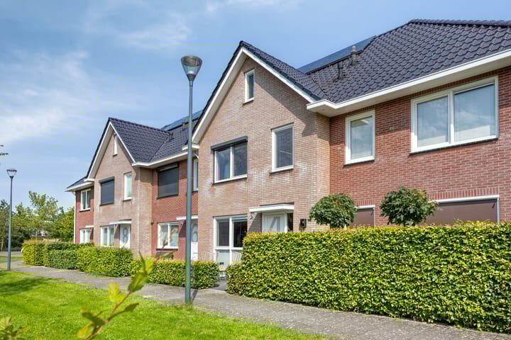 Foto 1 van Kronkelwilg 4