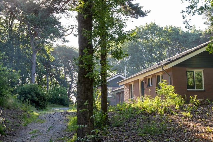 Foto 4 van Biesdeel 4