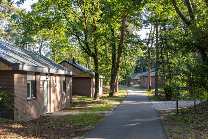 Foto 5 van Biesdeel 4