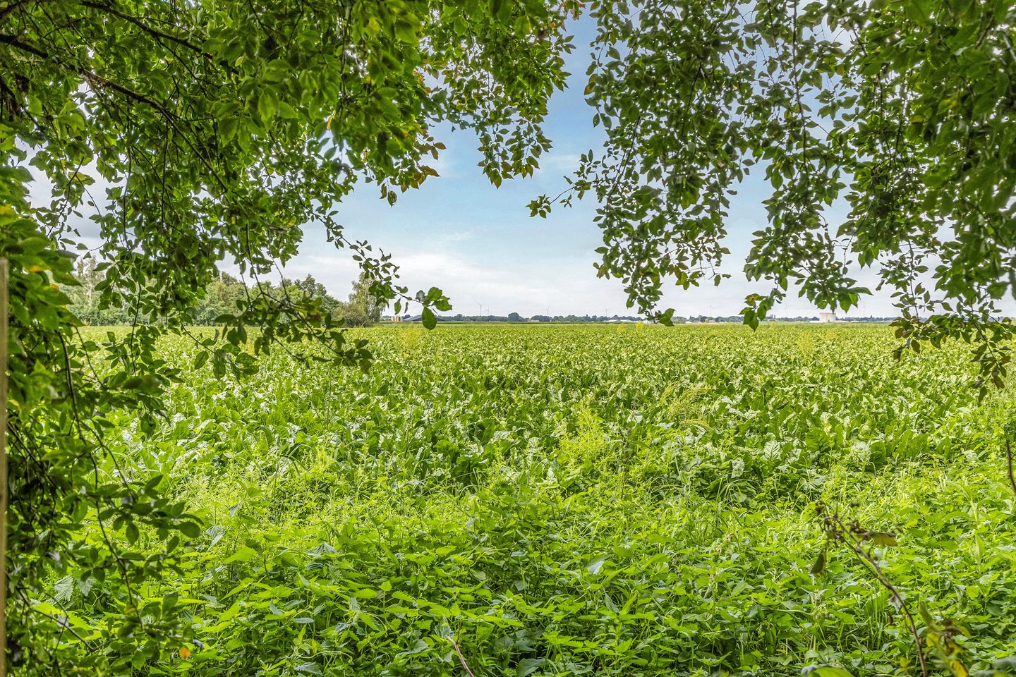 Photo 49 of Exloërveen 19