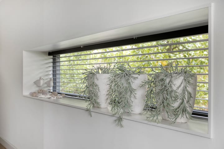 Photo 22 of Mansus 23