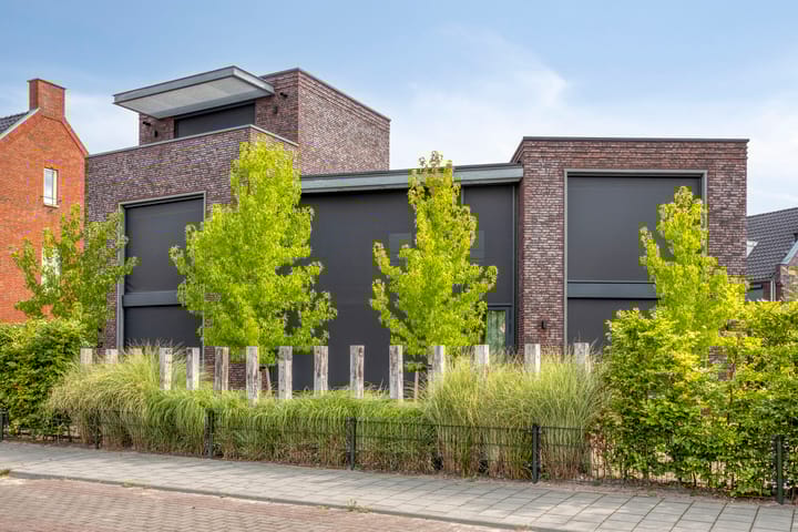 Photo 57 of Mansus 23