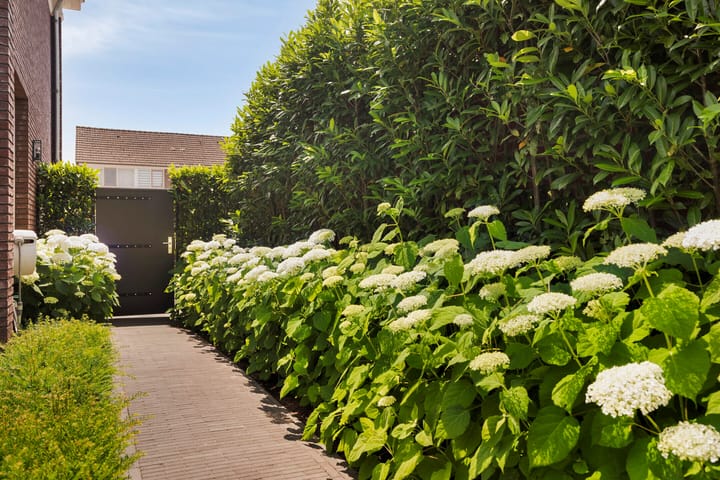 Foto 58 van Aalstraat 8