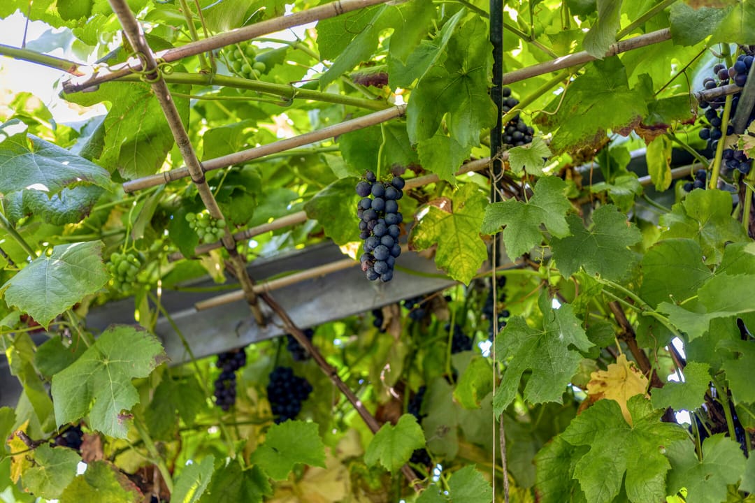 Photo 31 of von Geusauplein 17