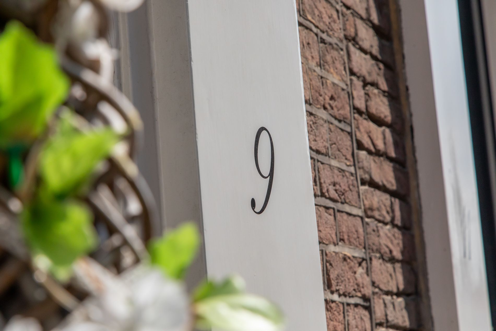 Foto 6 van Singelstraat 9