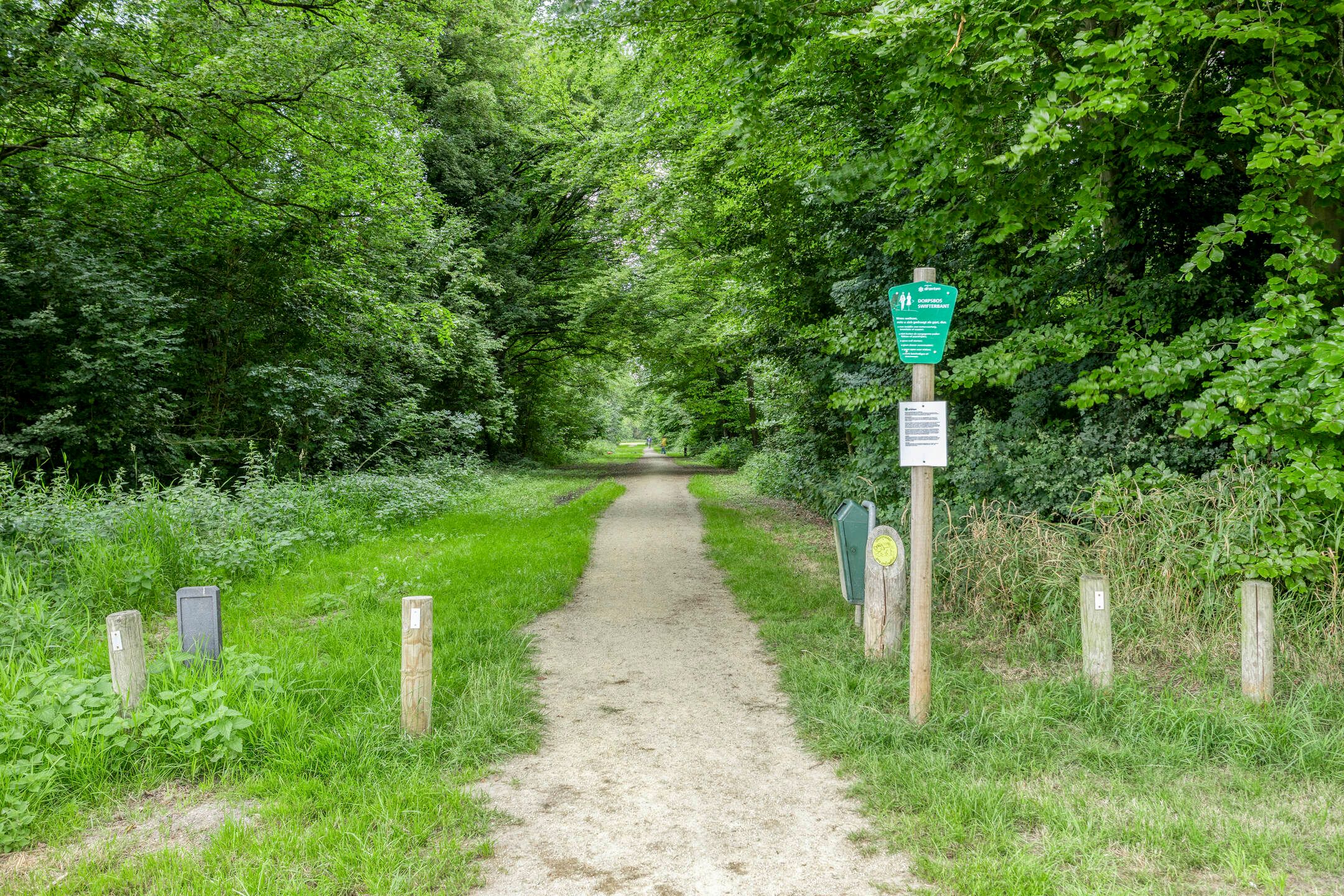 Foto 27 van Kamperfoelielaan 26