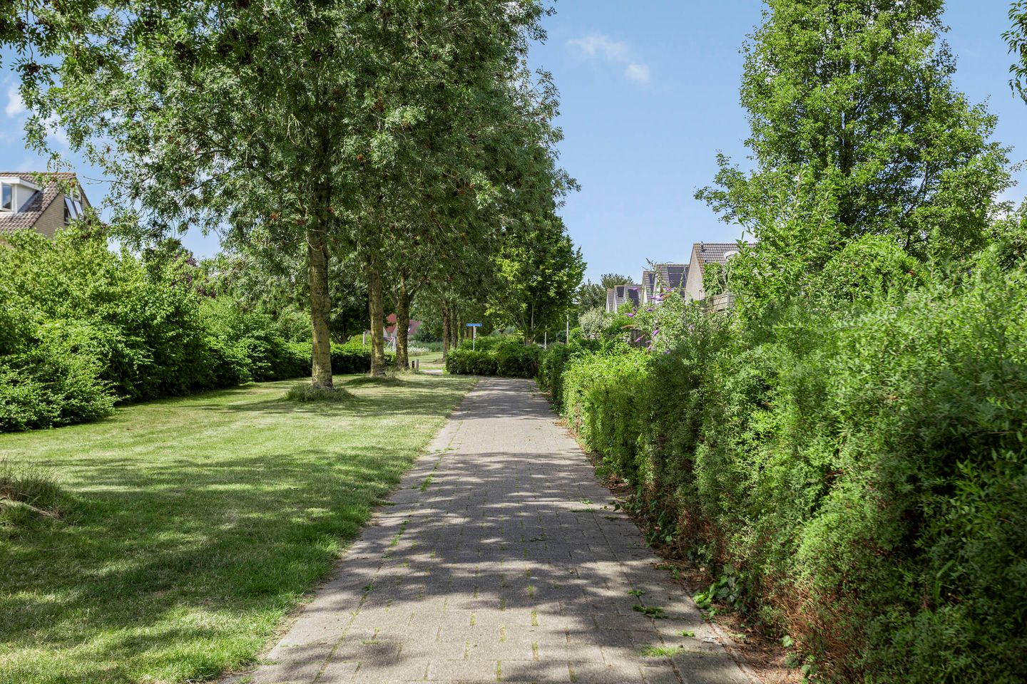 Foto 29 van Kamperfoelielaan 26