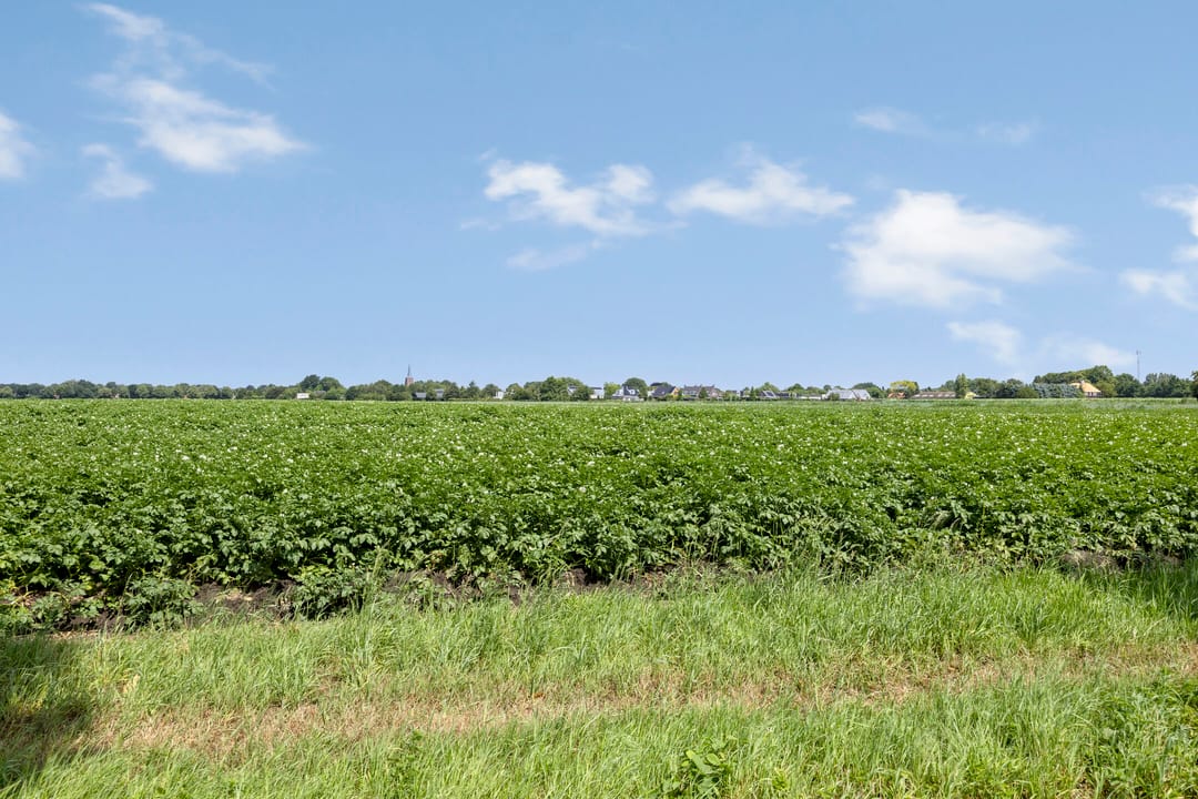 Foto 46 van Kwaalburg 2